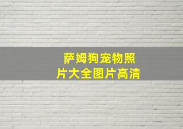 萨姆狗宠物照片大全图片高清