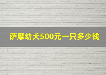 萨摩幼犬500元一只多少钱