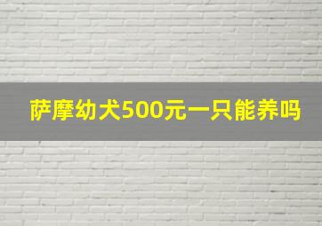 萨摩幼犬500元一只能养吗