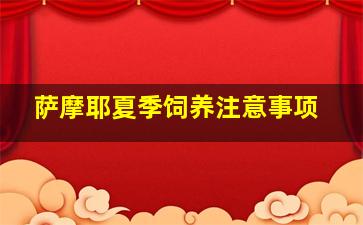 萨摩耶夏季饲养注意事项