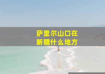 萨里尔山口在新疆什么地方