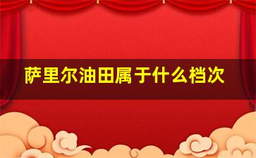 萨里尔油田属于什么档次