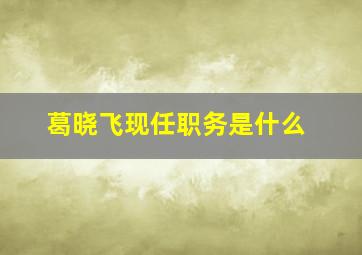 葛晓飞现任职务是什么