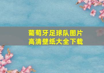 葡萄牙足球队图片高清壁纸大全下载