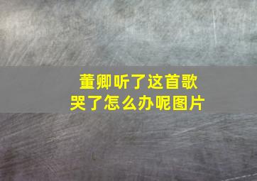 董卿听了这首歌哭了怎么办呢图片