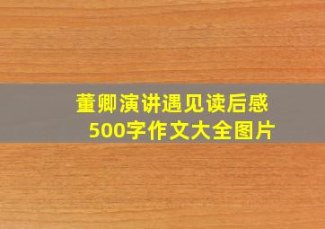 董卿演讲遇见读后感500字作文大全图片