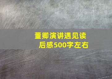 董卿演讲遇见读后感500字左右