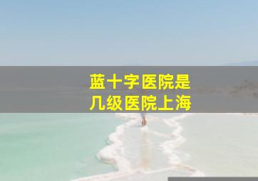 蓝十字医院是几级医院上海