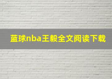 蓝球nba王毅全文阅读下载