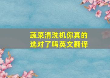 蔬菜清洗机你真的选对了吗英文翻译