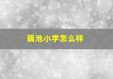 藕池小学怎么样