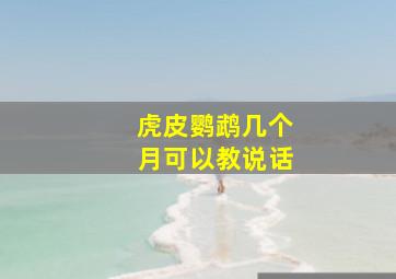 虎皮鹦鹉几个月可以教说话