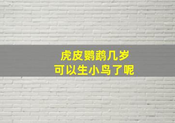 虎皮鹦鹉几岁可以生小鸟了呢