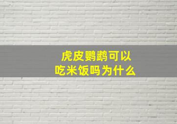 虎皮鹦鹉可以吃米饭吗为什么