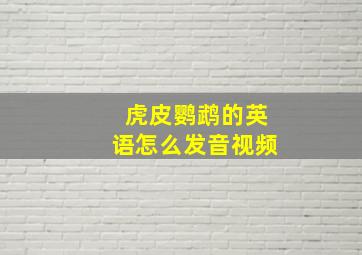 虎皮鹦鹉的英语怎么发音视频