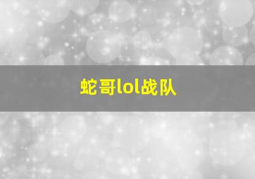 蛇哥lol战队