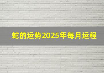 蛇的运势2025年每月运程