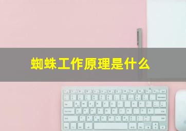 蜘蛛工作原理是什么