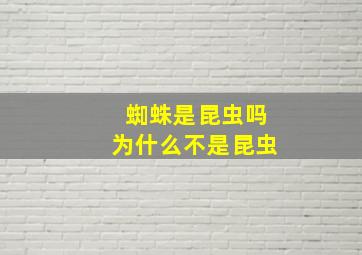 蜘蛛是昆虫吗为什么不是昆虫