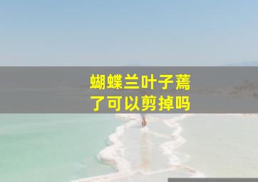 蝴蝶兰叶子蔫了可以剪掉吗