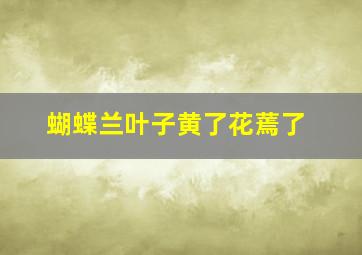 蝴蝶兰叶子黄了花蔫了