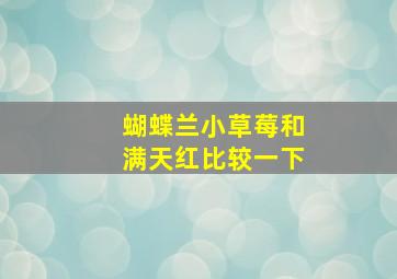 蝴蝶兰小草莓和满天红比较一下