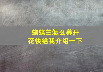 蝴蝶兰怎么养开花快给我介绍一下