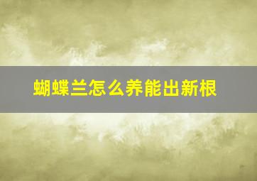 蝴蝶兰怎么养能出新根