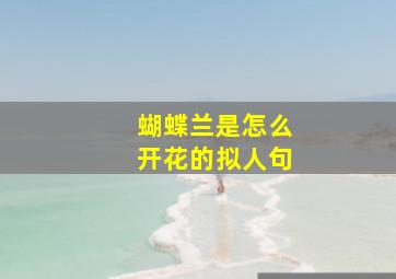 蝴蝶兰是怎么开花的拟人句