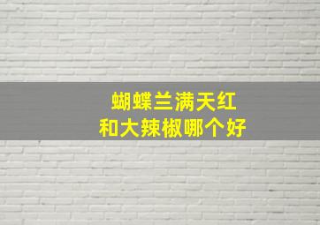 蝴蝶兰满天红和大辣椒哪个好