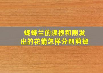 蝴蝶兰的须根和刚发出的花箭怎样分别剪掉