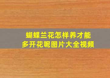 蝴蝶兰花怎样养才能多开花呢图片大全视频