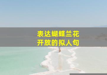 表达蝴蝶兰花开放的拟人句