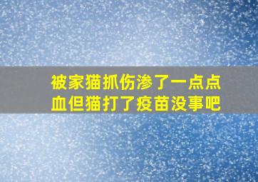 被家猫抓伤渗了一点点血但猫打了疫苗没事吧