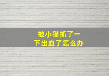 被小猫抓了一下出血了怎么办