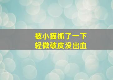 被小猫抓了一下轻微破皮没出血