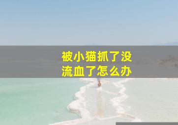 被小猫抓了没流血了怎么办