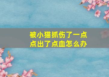 被小猫抓伤了一点点出了点血怎么办