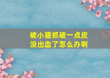 被小猫抓破一点皮没出血了怎么办啊