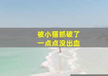 被小猫抓破了一点点没出血