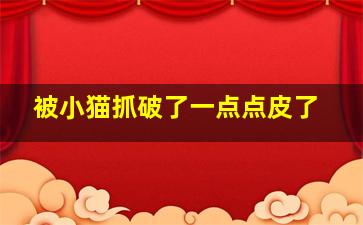 被小猫抓破了一点点皮了