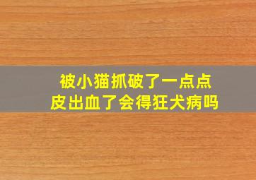 被小猫抓破了一点点皮出血了会得狂犬病吗