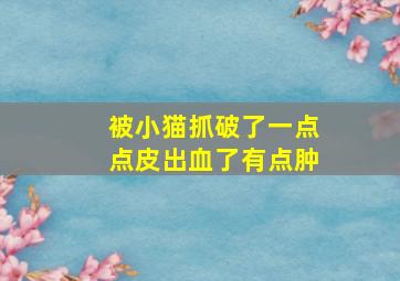 被小猫抓破了一点点皮出血了有点肿