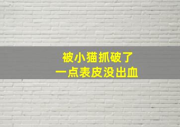 被小猫抓破了一点表皮没出血