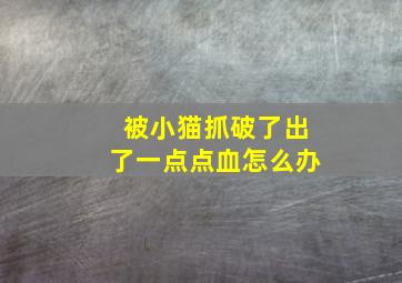 被小猫抓破了出了一点点血怎么办