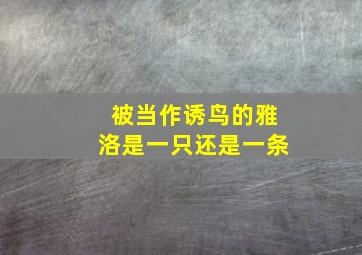 被当作诱鸟的雅洛是一只还是一条