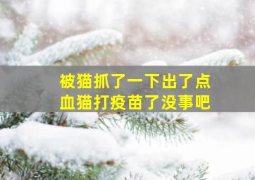 被猫抓了一下出了点血猫打疫苗了没事吧