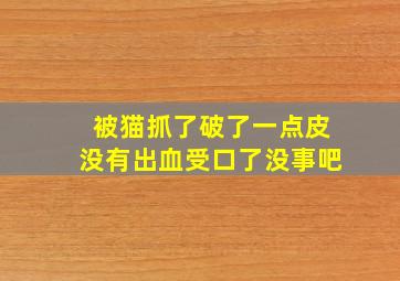 被猫抓了破了一点皮没有出血受口了没事吧