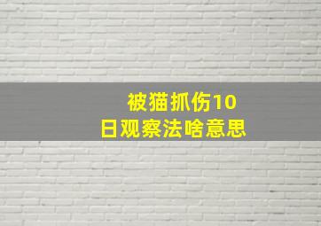 被猫抓伤10日观察法啥意思