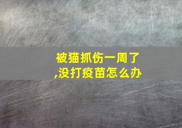 被猫抓伤一周了,没打疫苗怎么办